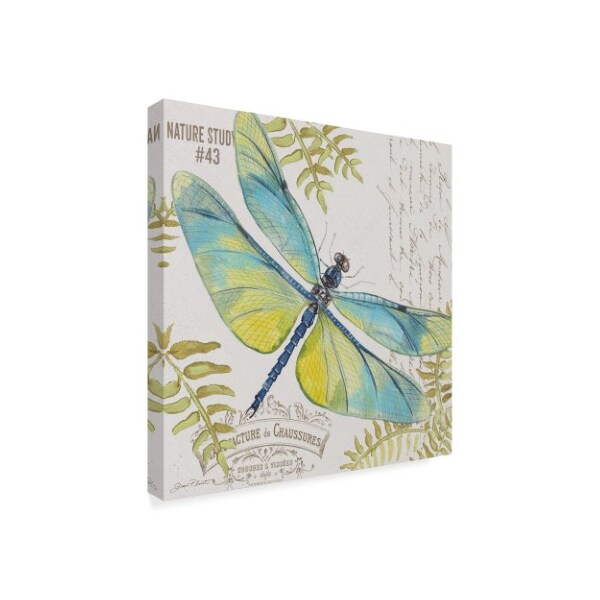 Jean Plout 'Botanical Dragonfly 2' Canvas Art,24x24